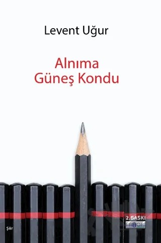 Alnıma Güneş Kondu – Levent Uğur – Favori Yayınları kitap kapağı