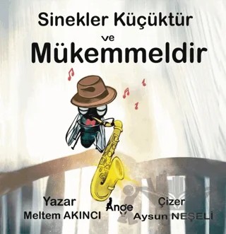 Sinekler Küçüktür ve Mükemmeldir – Meltem Akıncı – Ange Yayınları kitap kapağı