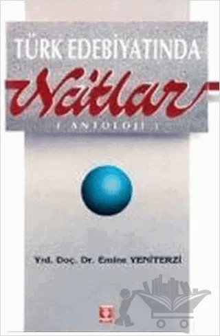Divan Şiirinde Na't – Emine Yeniterzi – Türkiye Diyanet Vakfı Yayınları kitap kapağı