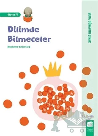 Dilimde Bilmeceler – Sema Günaydın Çınar – Final Kültür Sanat Yayınları kitap kapağı