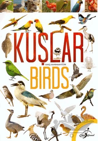 Kuşlar – Barış Kahramantürk – Çocuk Gezegeni kitap kapağı