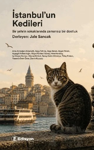 İstanbul'un Kedileri – Kolektif – Edisyon Kitap kitap kapağı