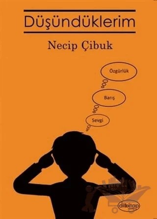 Düşündüklerim – Necip Çibuk – Dilkitap Yayınları kitap kapağı