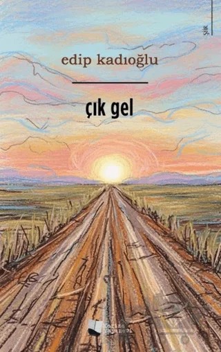 Çık Gel – Edip Kadıoğlu – Karina Yayınevi kitap kapağı