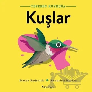 Kuşlar - Tepeden Kuyruğa – Stacey Roderick – Domingo Yayınevi kitap kapağı