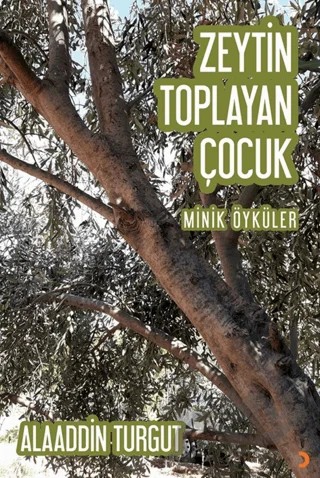 Zeytin Toplayan Çocuk – Alaaddin Turgut – Cinius Yayınları kitap kapağı