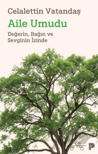 Aile Umudu – Celalettin Vatandaş – Pınar Yayınları kitap kapağı