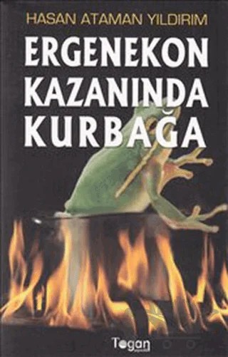 Ergenekon Kazanında Kurbağa – Hasan Ataman Yıldırım – Togan Yayıncılık kitap kapağı
