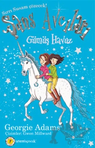 Gümüş Havuz - Şans Avcıları 2 – Georgie Adams – Artemis Yayınları kitap kapağı