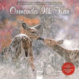 Ormanda İlk Kar – Carl R. Sams II, Jean Stoick – 1001 Çiçek Kitaplar kitap kapağı