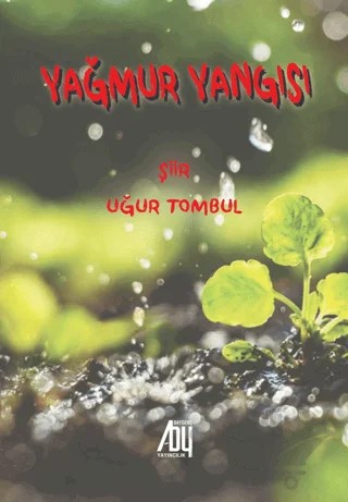 Yağmur Yangısı – Uğur Tombul – Baygenç Yayıncılık kitap kapağı