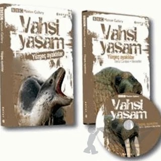 Vahşi Yaşam-Yüzgeç Ayaklılar – Amy-Jane Beer, Pat Morris – Boyut Yayın Grubu kitap kapağı