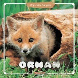 Orman - Hayvanlar Dünyası – Kolektif – Yumurcak Yayınları kitap kapağı