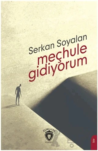 Meçhule Gidiyorum – Serkan Soyalan – Dorlion Yayınları kitap kapağı