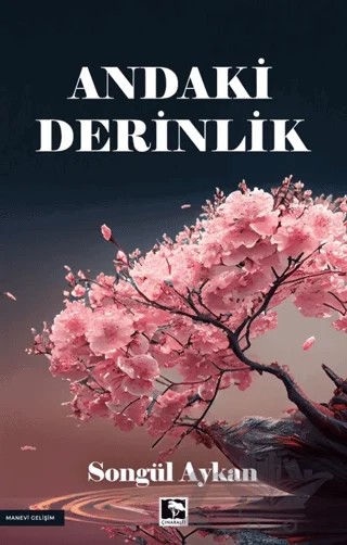 Andaki Derinlik – Songül Aykan – Çınaraltı Yayınları kitap kapağı