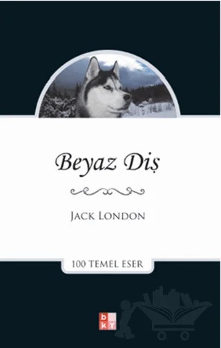Beyaz Diş – Jack London – Babıali Kültür Yayıncılığı kitap kapağı