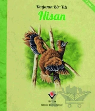 Doğanın Bir Yılı - Nisan – Ruth Symons – TÜBİTAK Yayınları kitap kapağı
