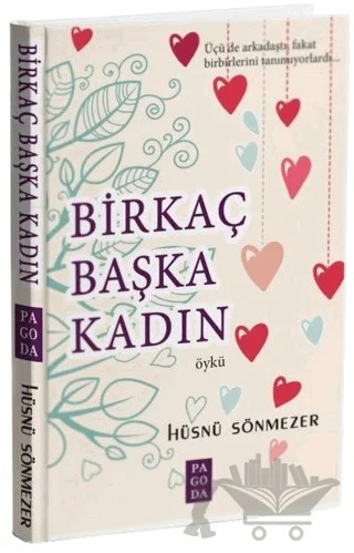 Bir Kaç Başka Kadın – Hüsnü Sönmezer – Pagoda Yayınları kitap kapağı