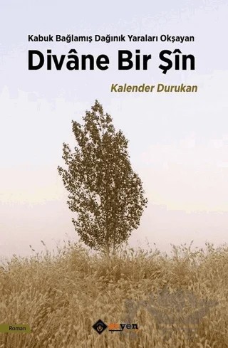Divane Bir Şin – Kalender Durukan – Aryen Yayınları kitap kapağı