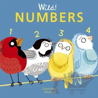 Numbers – Courtney Dicmas – Child's Play kitap kapağı