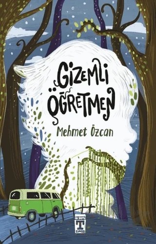 Gizemli Öğretmen – Mehmet Özcan – İlk Genç Timaş kitap kapağı