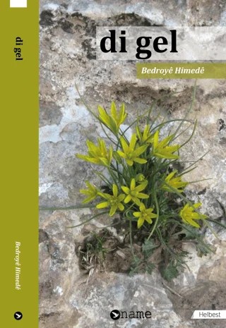 Di Gel – Bedroye Himede – Name Yayınları kitap kapağı