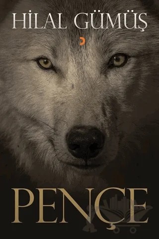 Pençe – Hilal Gümüş – Cinius Yayınları kitap kapağı