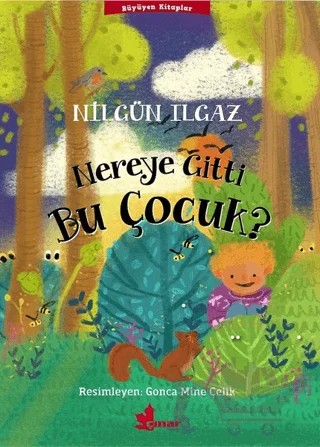 Nereye Gitti Bu Çocuk? – Nilgün Ilgaz – Çınar Yayınları kitap kapağı