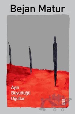 Ayın Büyüttüğü Oğullar – Bejan Matur – Timaş Yayınları kitap kapağı