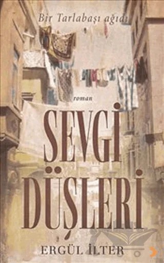 Sevgi Düşleri – Ergül İlter – Cinius Yayınları kitap kapağı