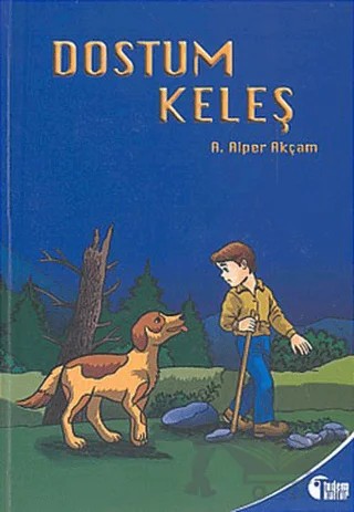 Dostum Keleş – A. Alper Akçam – Tudem Yayınları kitap kapağı