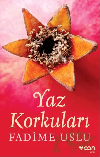 Yaz Korkuları – Fadime Uslu – Can Yayınları kitap kapağı