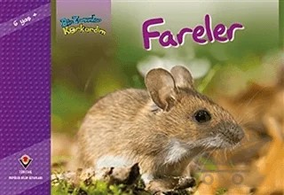 Bir Zamanlar Korkardım - Fareler – Elaine Pascoe – TÜBİTAK Yayınları kitap kapağı