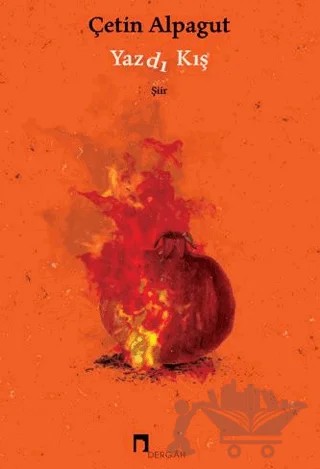 Yazdı Kış – Çetin Alpagut – Dergah Yayınları kitap kapağı