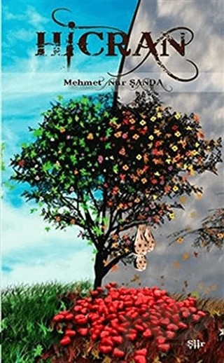 Hicran – Mehmet Nur Şanda – Zinde Yayıncılık kitap kapağı