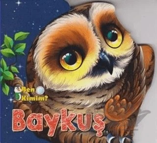Baykuş – Kolektif – Parıltı Yayınları kitap kapağı