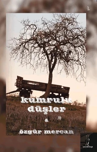 Kumrulu Düşler – Özgür Mercan – Şey Kitap kitap kapağı