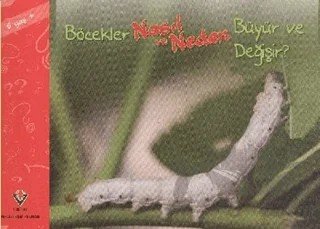 Böcekler Nasıl ve Neden Büyür ve Değişir? – Elaine Pascoe – TÜBİTAK Yayınları kitap kapağı