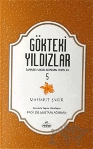 Gökteki Yıldızlar - 5 – Mahmut Şakir – Ravza Yayınları kitap kapağı