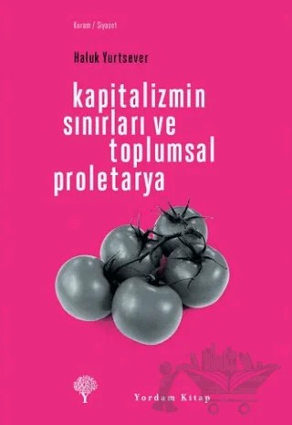 Kapitalizmin Sınırları ve Toplumsal Proletarya – Haluk Yurtsever – Yordam Kitap kitap kapağı
