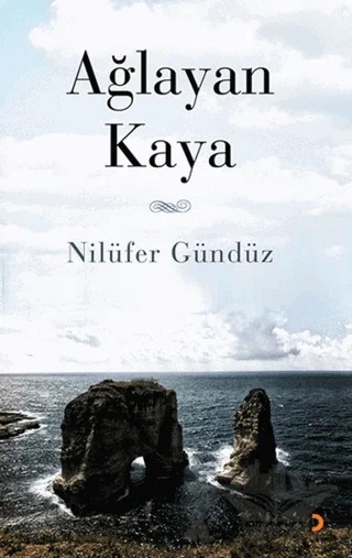 Ağlayan Kaya – Nilüfer Gündüz – Cinius Yayınları kitap kapağı