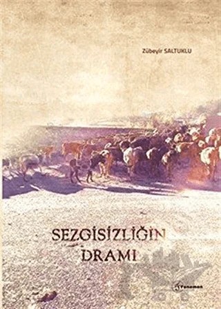 Sezgisizliğin Dramı – Zübeyir Saltuklu – Fenomen Yayıncılık kitap kapağı