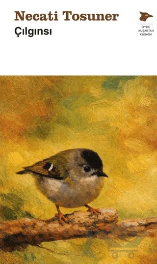 Çılgınsı – Necati Tosuner – Alakarga Sanat Yayınları kitap kapağı