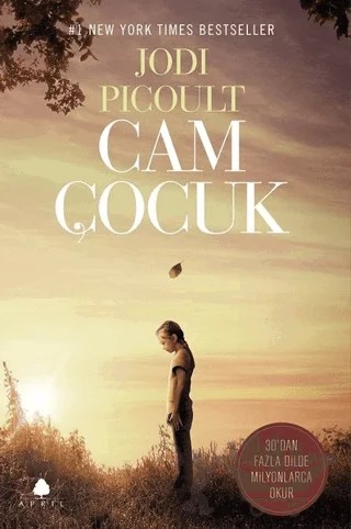 Cam Çocuk – Jodi Picoult – April Yayıncılık kitap kapağı