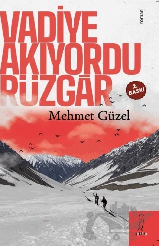 Vadiye Akıyordu Rüzgar – Mehmet Güzel – Şyk Kitap kitap kapağı