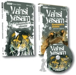 Vahşi Yaşam 2 - Güneşlenenler ve Yıkananlar – Kolektif – Boyut Yayın Grubu kitap kapağı