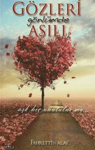 Gözleri Gönlümde Asılı – Fahrettin Alay – Mola Kitap kitap kapağı