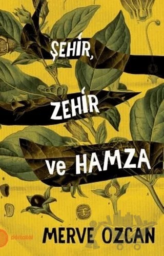 Şehir Zehir ve Hamza – Merve Özcan – Portakal Kitap kitap kapağı