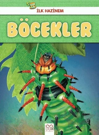 Böcekler - İlk Hazinem – Denise Ryan – 1001 Çiçek Kitaplar kitap kapağı