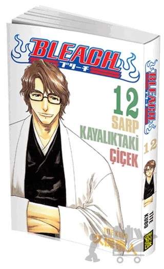 Bleach 12. Cilt – Tite Kubo – Gerekli Şeyler Yayıncılık kitap kapağı